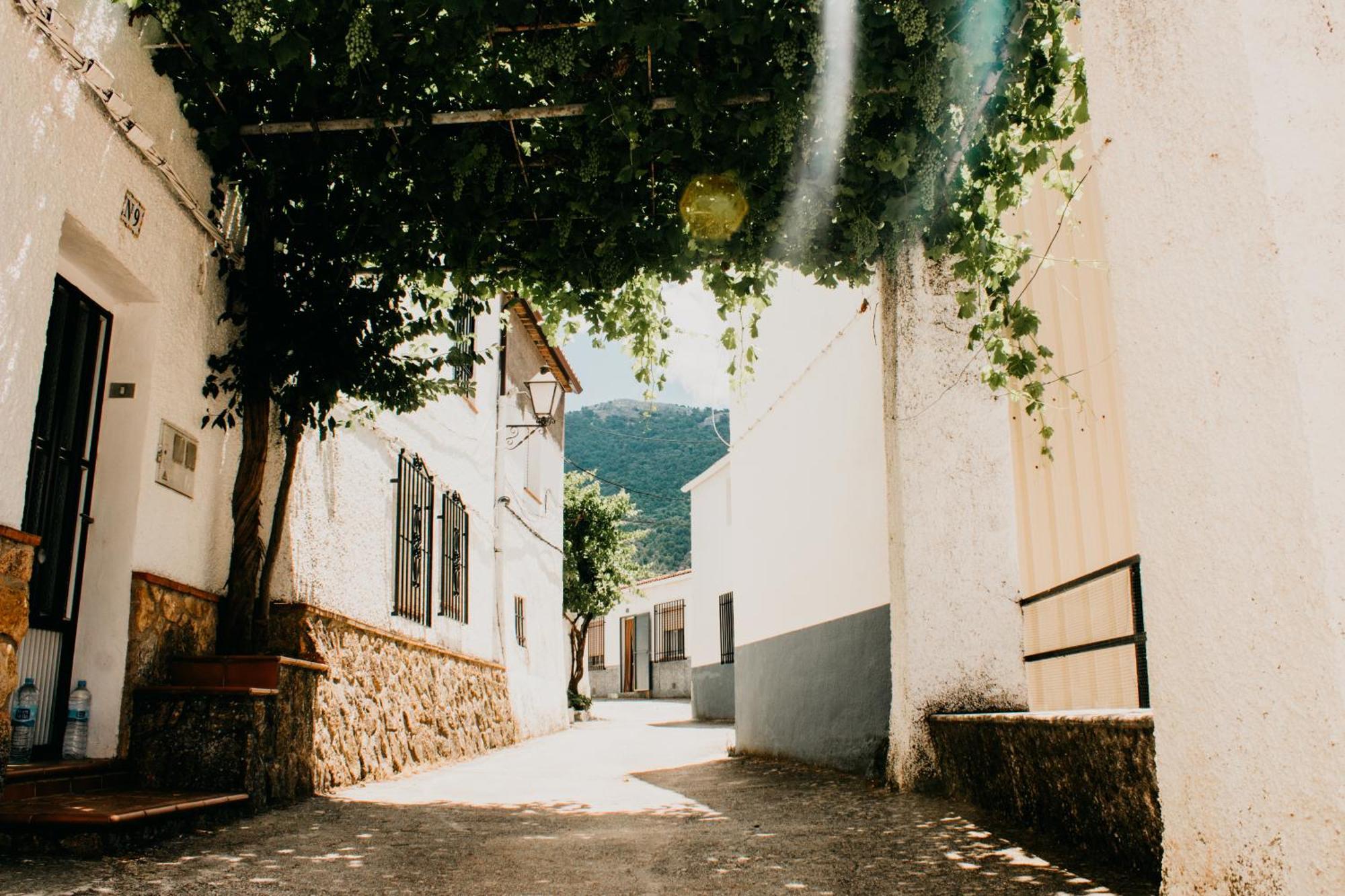 Apartamentos El Callejon Riópar المظهر الخارجي الصورة